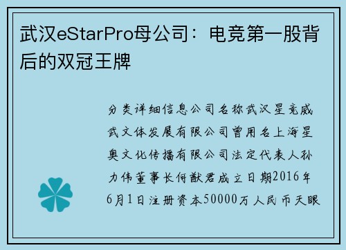 武汉eStarPro母公司：电竞第一股背后的双冠王牌